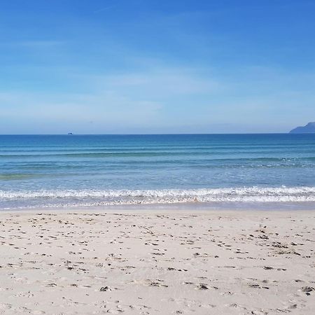 Ideal Property Mallorca - Cittadini 26 Port de Alcudia  Εξωτερικό φωτογραφία