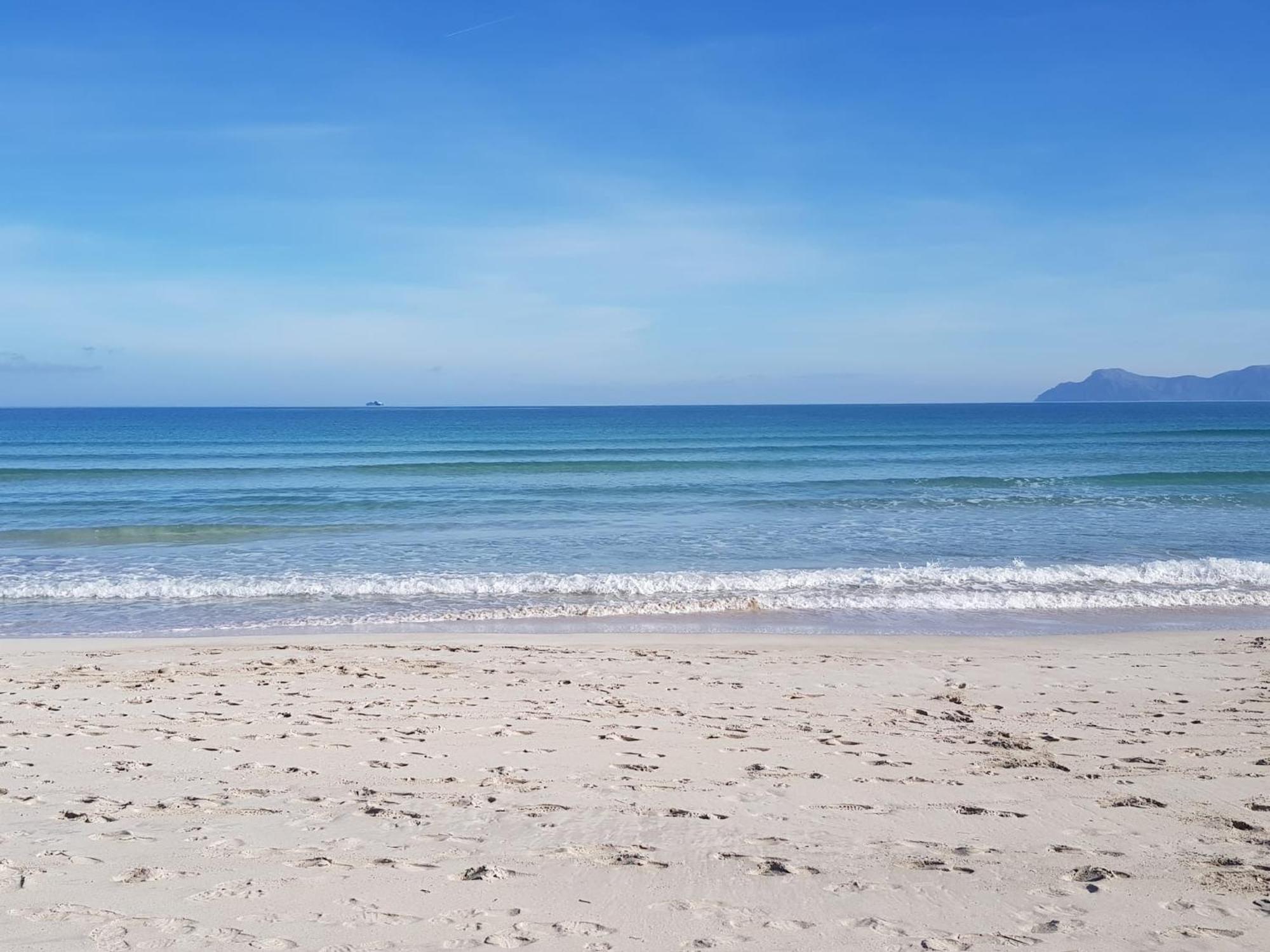 Ideal Property Mallorca - Cittadini 26 Port de Alcudia  Εξωτερικό φωτογραφία